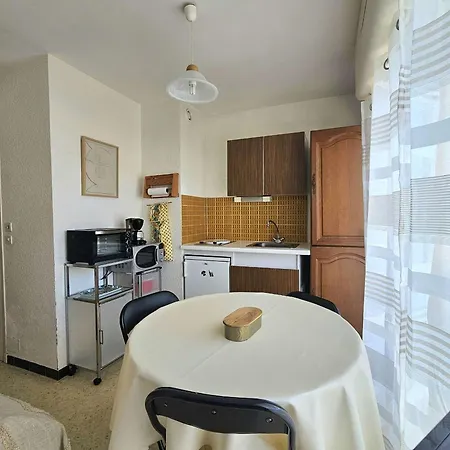 Apartamento T1 Proche Des Thermes Avec Climatisation - Fr-1-553-313